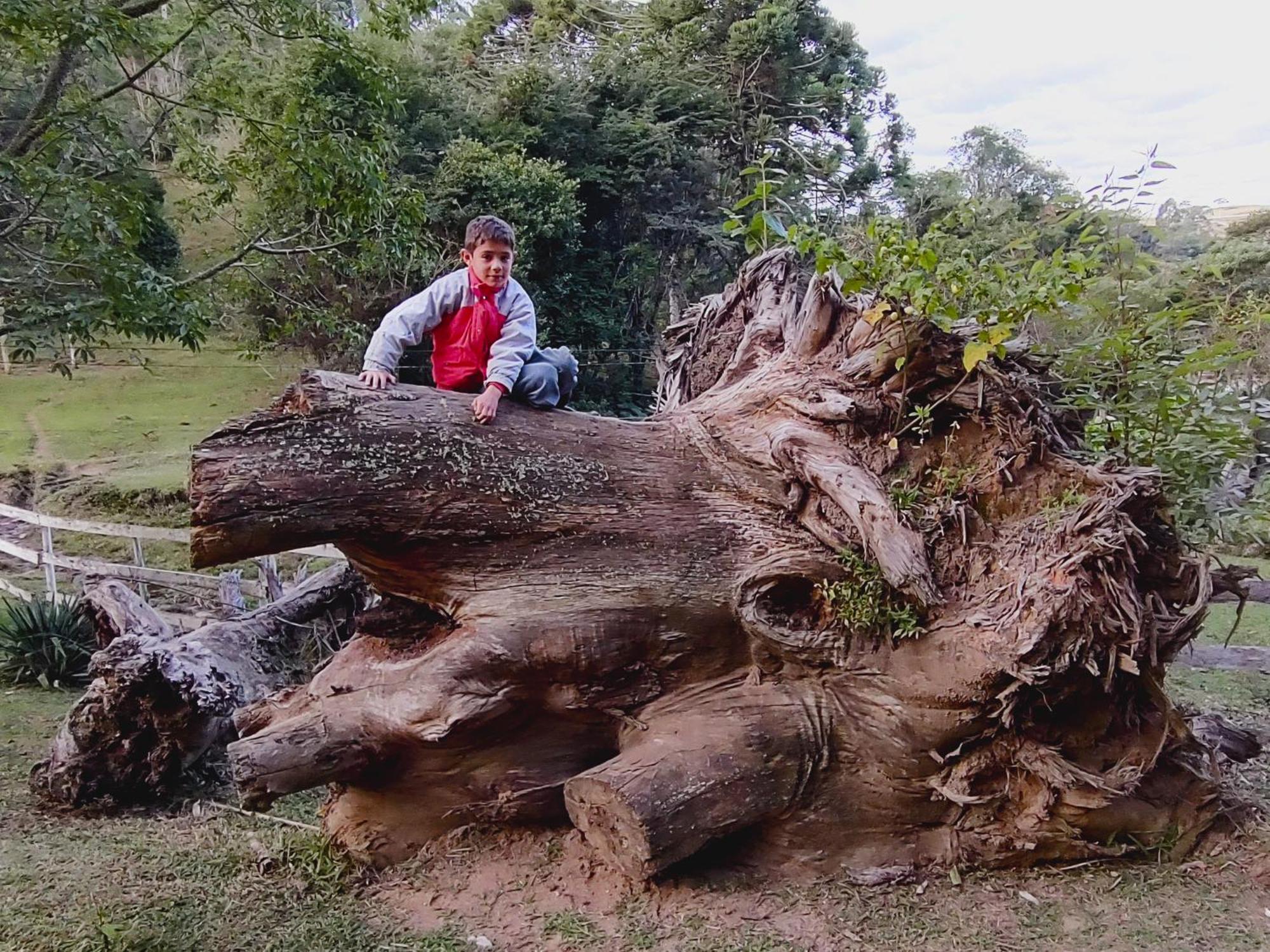 Chales Vinhas Da Harmonia L Pousada Em Cunha Sp Luaran gambar