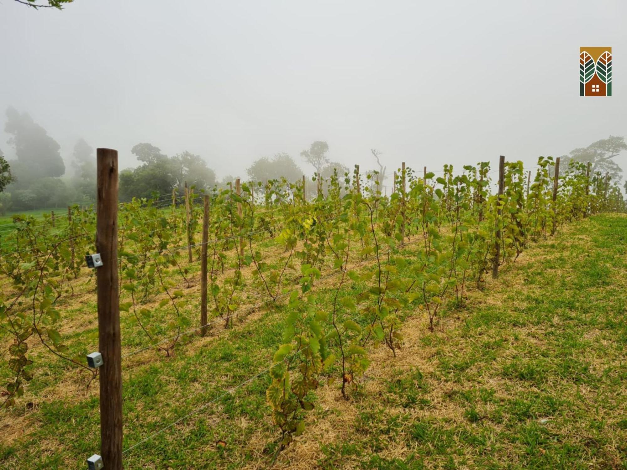 Chales Vinhas Da Harmonia L Pousada Em Cunha Sp Luaran gambar